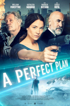 A Perfect Plan (2020) download