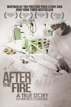 After the Fire (2011) download