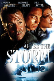After the Storm (2001) download