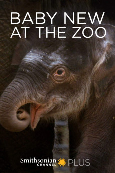 Baby New at the Zoo (2007) download