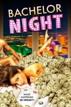 Bachelor Night (2014) download