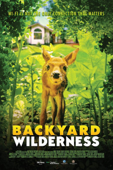 Backyard Wilderness (2018) download