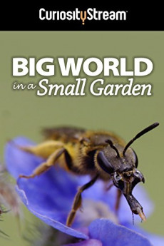 Big World in a Small Garden (2016) download