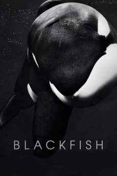 Blackfish (2013) download