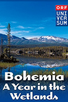 Bohemia: A Year in the Wetlands (2011) download