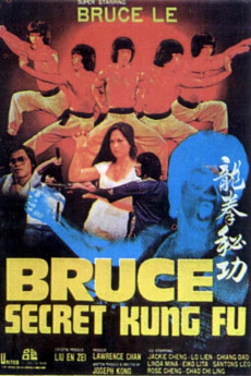 Bruce's Secret Kung Fu (1988) download
