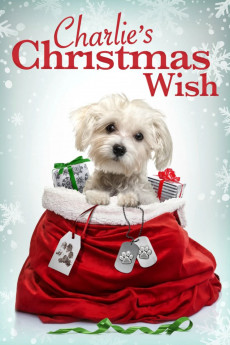 Charlie's Christmas Wish (2020) download