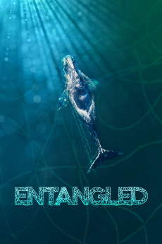 Entangled: The Race to Save Right Whales from Extinction (2020) download