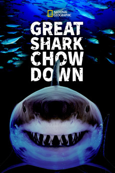 Great Shark Chow Down (2019) download