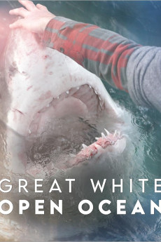 Great White Open Ocean (2022) download