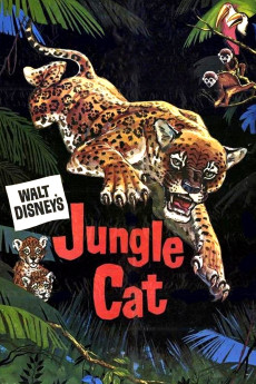 Jungle Cat (1960) download
