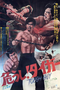 Kung Fu Master: Bruce Lee Style (1972) download