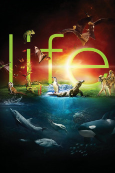 Life (2009) download