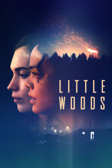 Little Woods (2018) download