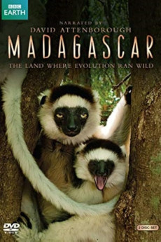 Madagascar (2011) download