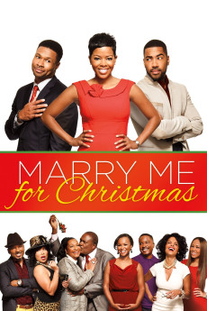 Marry Me for Christmas (2013) download