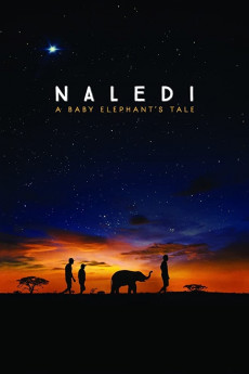 Naledi: A Baby Elephant's Tale (2016) download