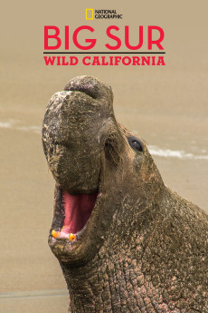 National Geographic Explorer Big Sur-Wild California (2010) download