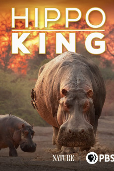 Nature Hippo King (2022) download