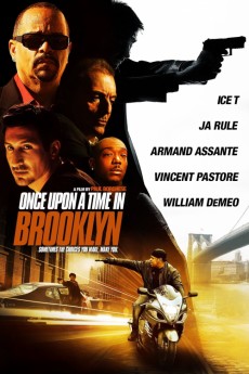 Once Upon a Time in Brooklyn (2013) download