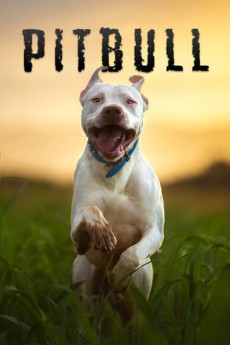 Pitbull (2018) download