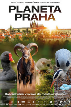 Planeta Praha (2022) download