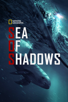 Sea of Shadows (2019) download