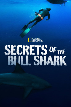 Secrets of the Bull Shark (2020) download