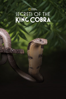 Secrets of the King Cobra (2010) download