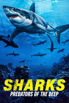 Sharks: Predators of the Deep (2024) download