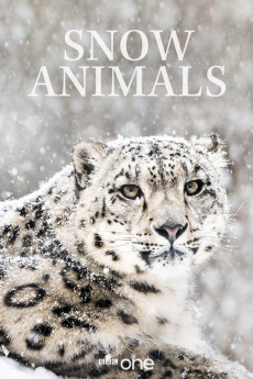 Snow Animals (2019) download