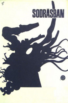 Sodrásban (1964) download