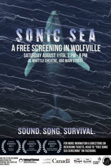 Sonic Sea (2016) download