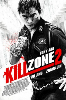 SPL: Kill Zone 2 (2015) download