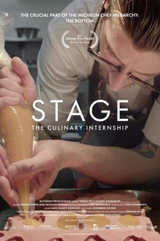 Stage: The Culinary Internship (2019) download
