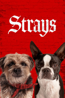 Strays (2023) download