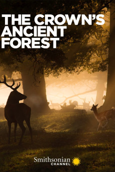 The Crown's Ancient Forest (2021) download