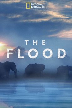 The Flood (2018) download
