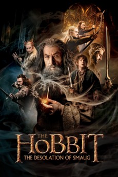 The Hobbit: The Desolation of Smaug Extended Edition (2013) download