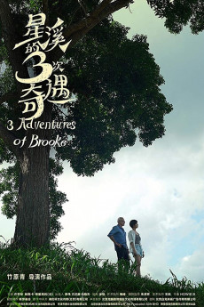 Three Adventures of Brooke (2018) download