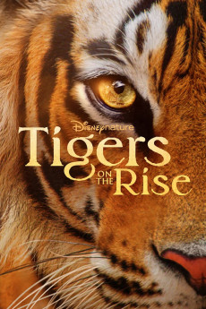 Tigers on the Rise (2024) download