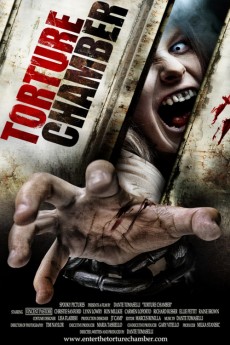 Torture Chamber (2013) download