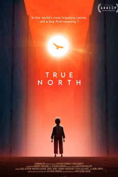 True North (2020) download