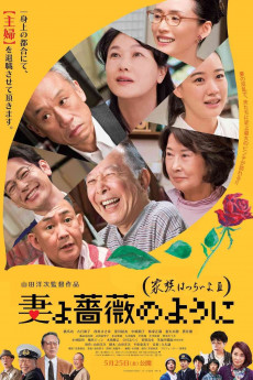 What a Wonderful Family! 3: My Wife, My Life (2018) download