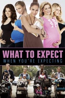 What to Expect When You're Expecting (2012) download
