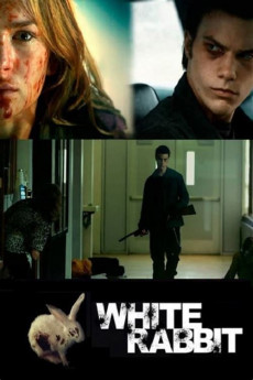 White Rabbit (2013) download