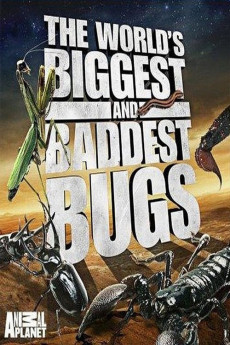 World's Biggest and Baddest Bugs (2009) download