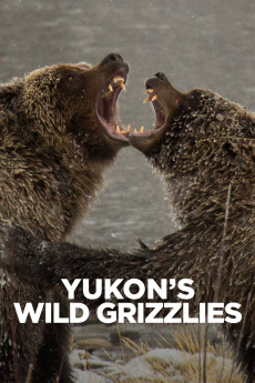 Yukon's Wild Grizzlies (2021) download