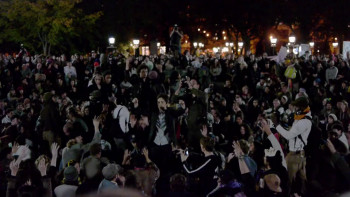 99%: The Occupy Wall Street Collaborative Film (2013) download