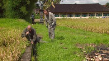 Asia's Deadliest Snakes (2010) download